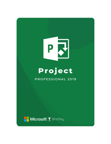 Project Pro 2019 (Reinstalable)