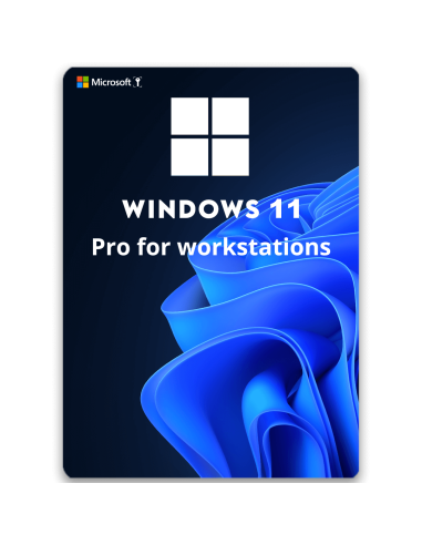 Windows 11 Pro for workstations